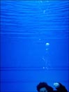 Plunge